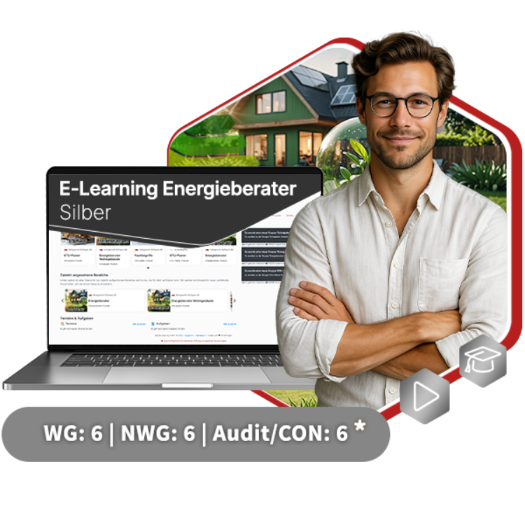 E-Learning Silber